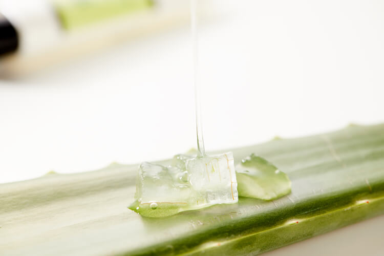 5 Kelebihan COSRX Aloe Vera Oilfree Moisture Cream yang Membuatnya Jadi Favorit Banyak Orang