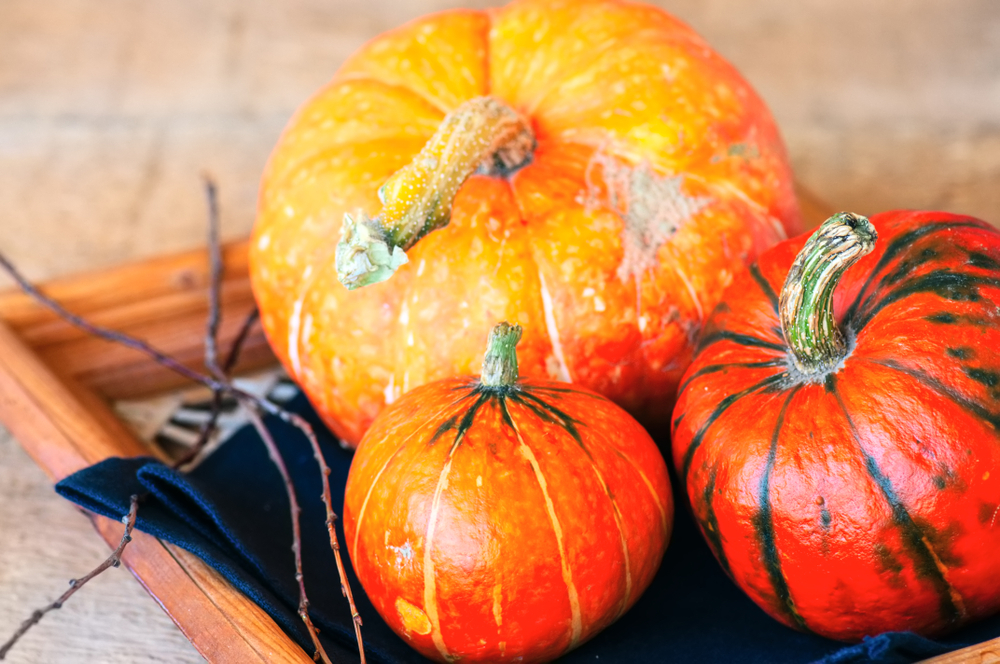 Rekomendasi Produk Skin Care dengan Kandungan Labu untuk Kulit yang ...